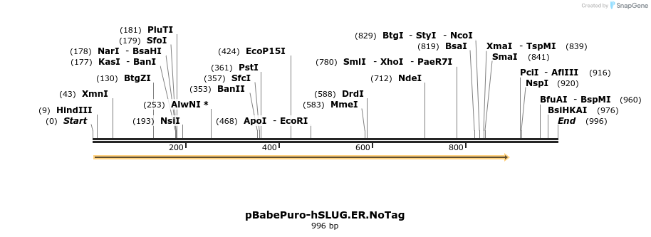 25050_map