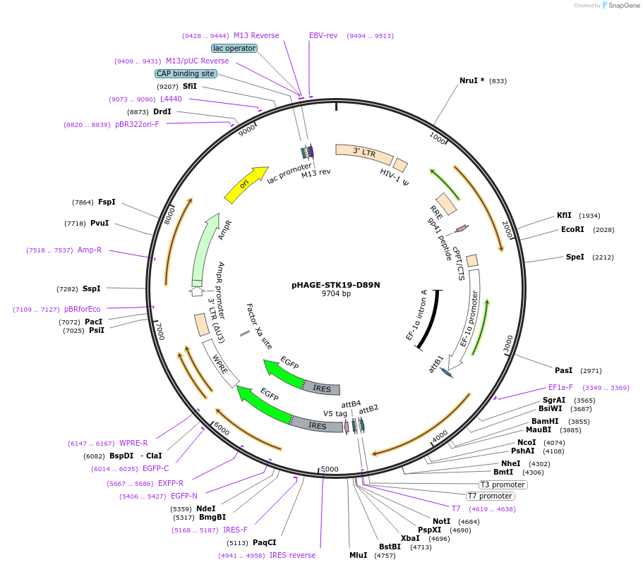 250503_map