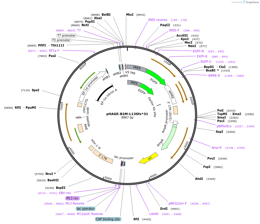 250509_map