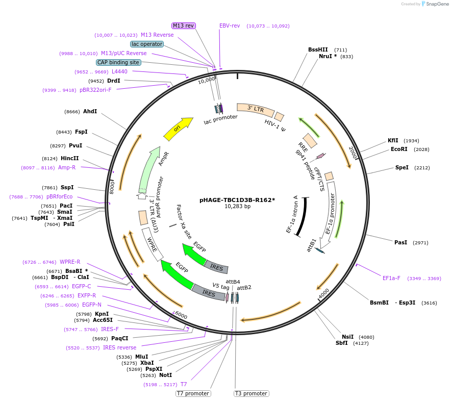 250520_map