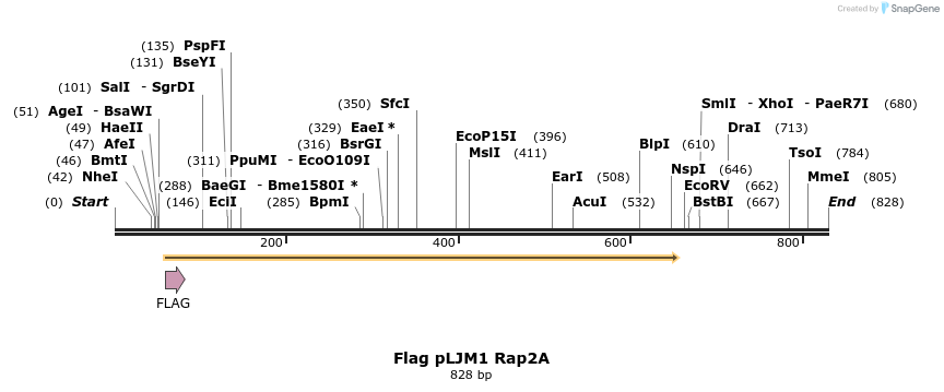 25053_map