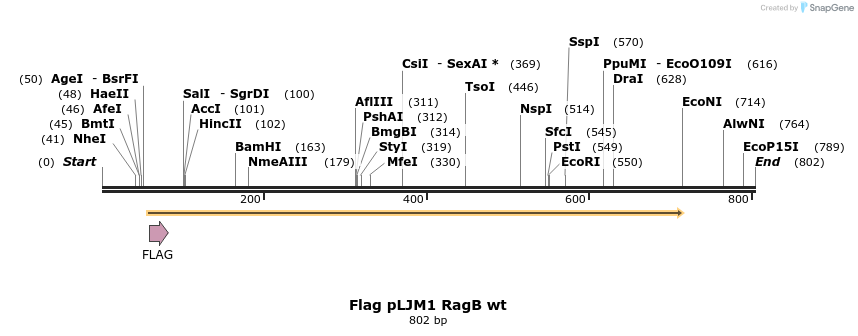 25055_map