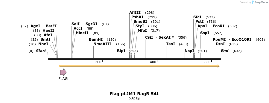 25056_map