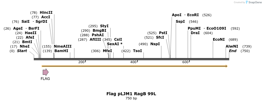 25057_map