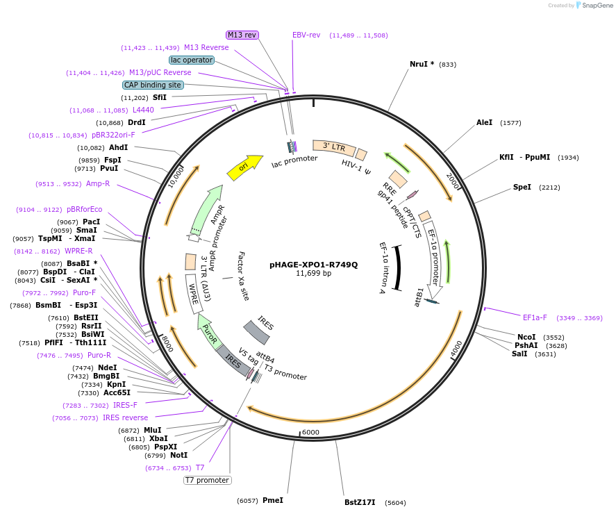 250573_map