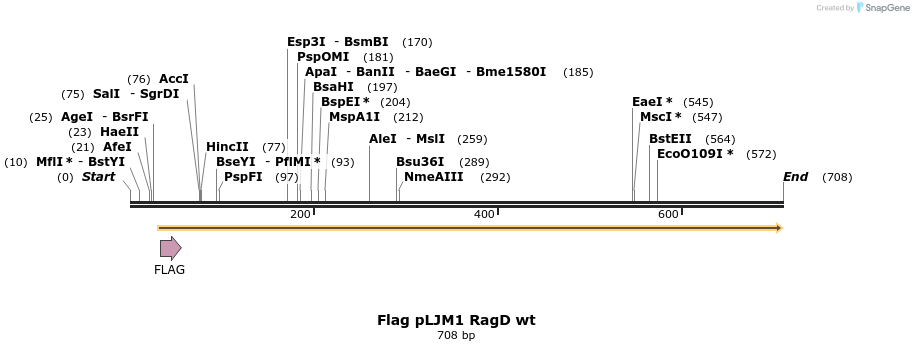 25058_map