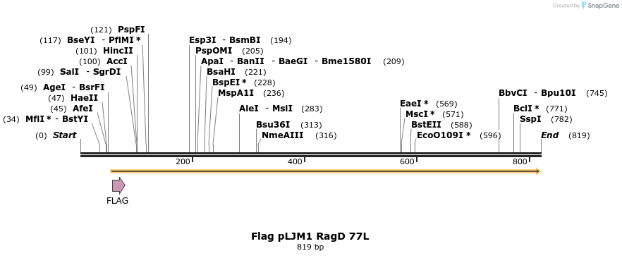 25059_map