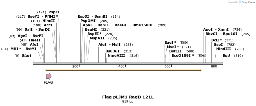 25060_map