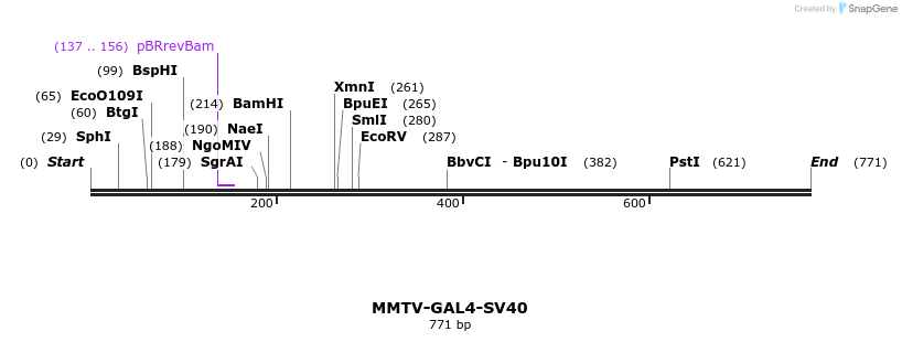 25062_map