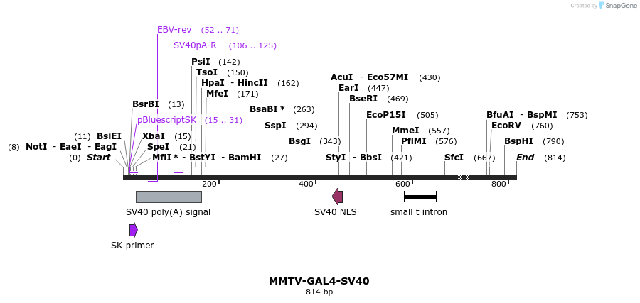 25063_map