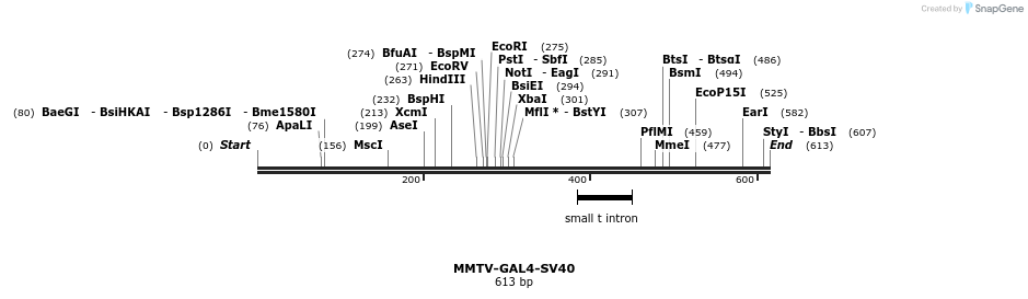 25064_map