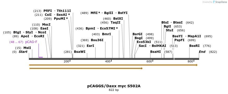 25065_map