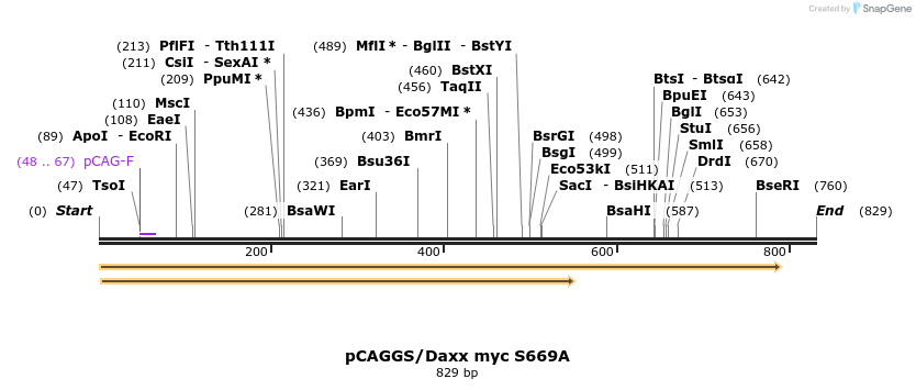 25067_map