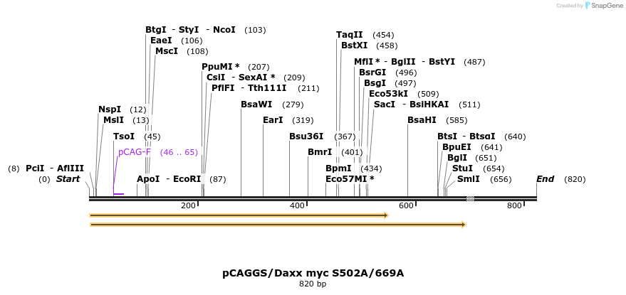 25069_map