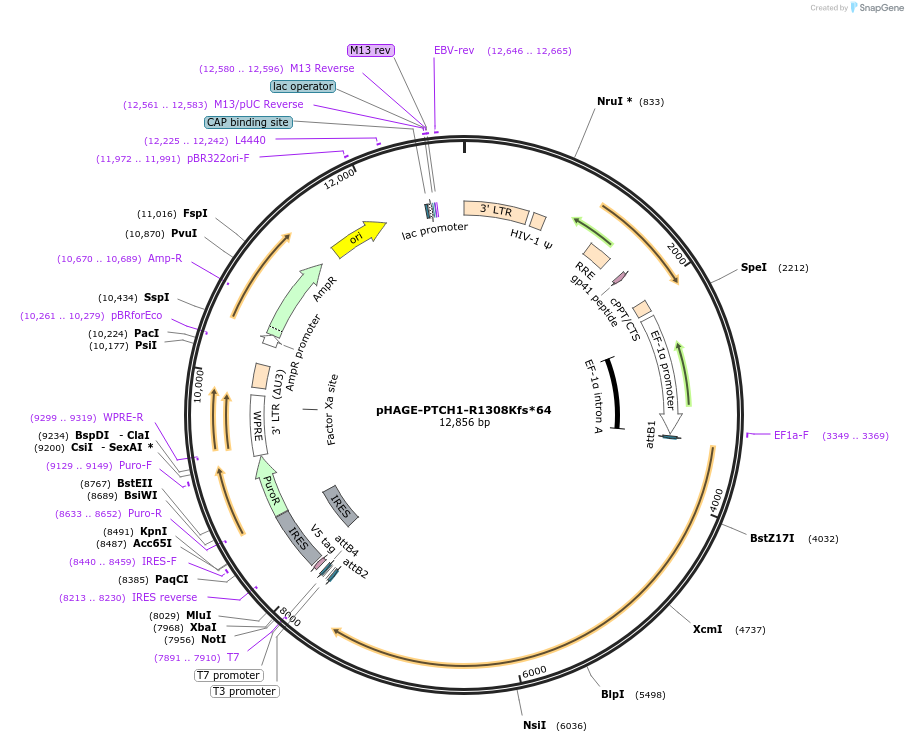 250713_map