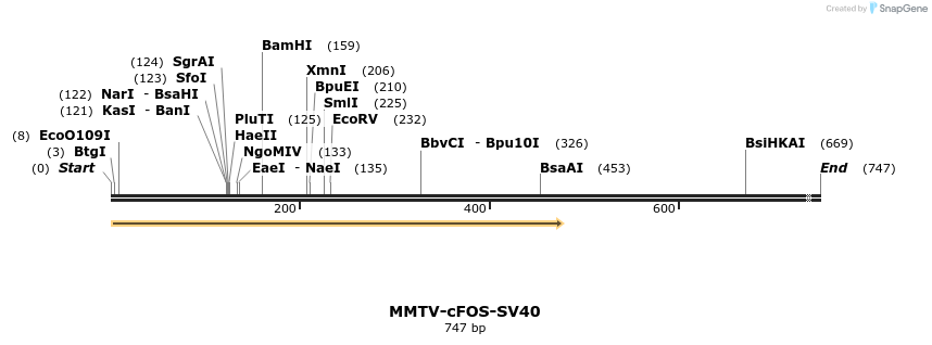 25074_map