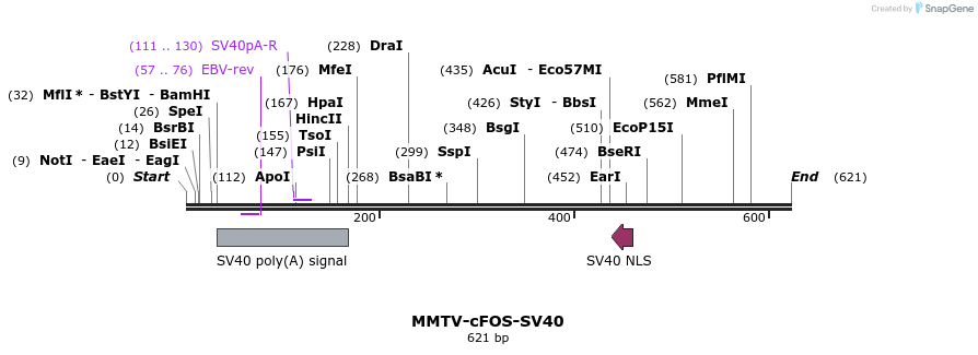 25075_map