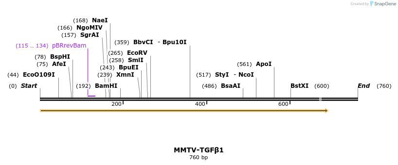 25077_map