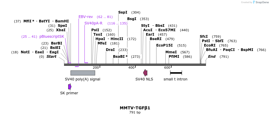 25078_map