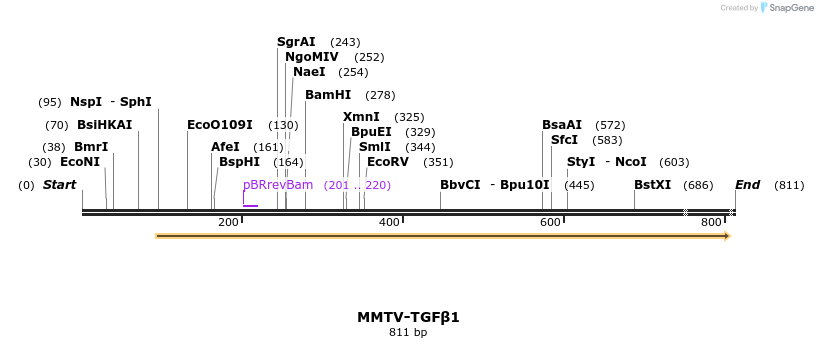 25079_map