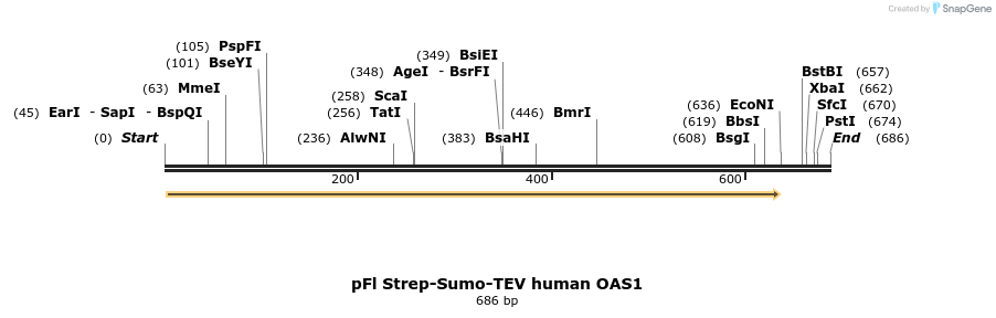 250800_map