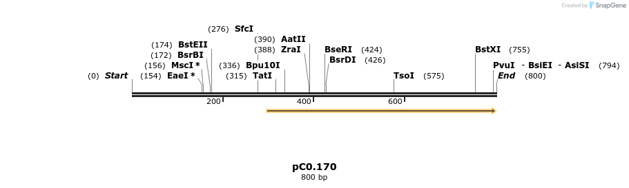 250806_map