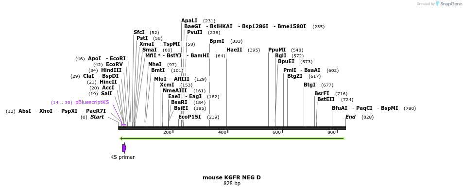 25082_map