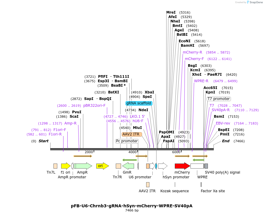 250830_map