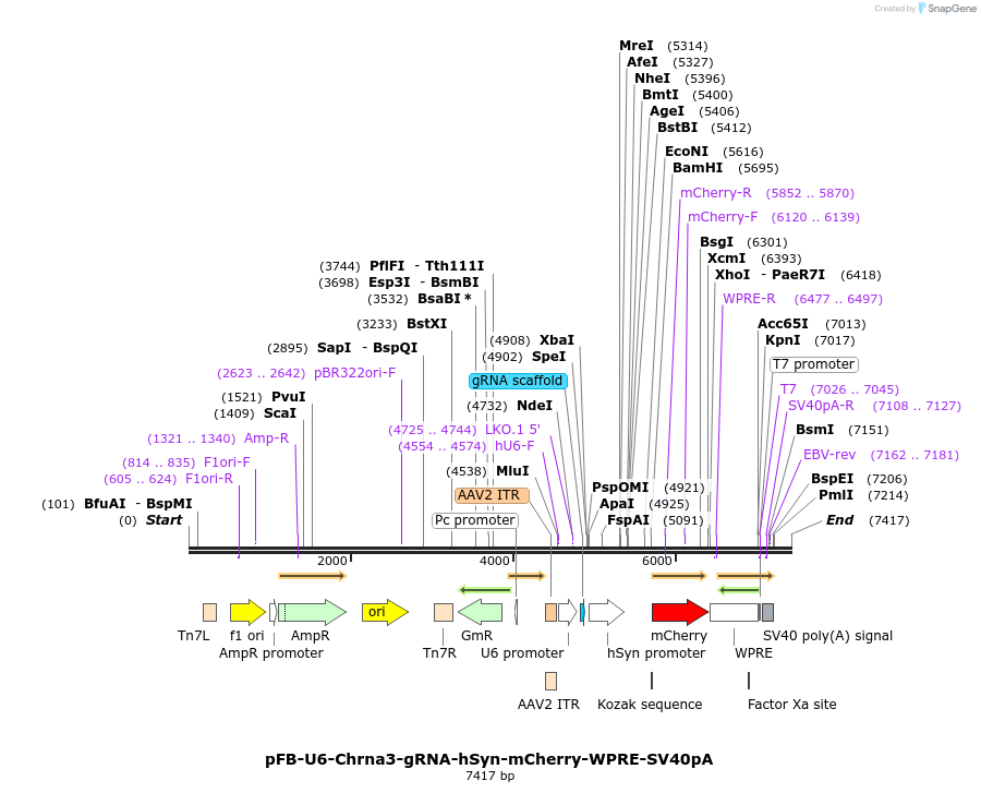 250831_map