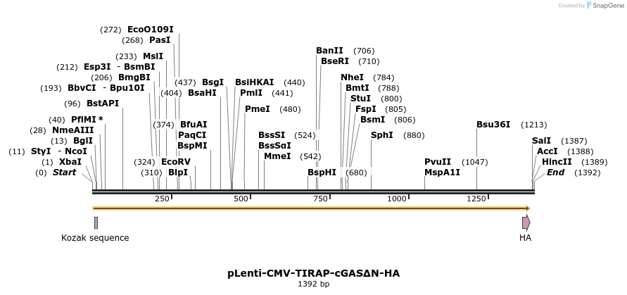 250862_map