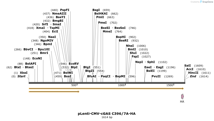 250872_map