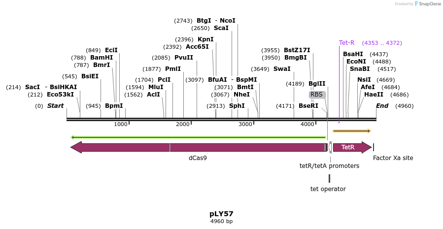 250878_map