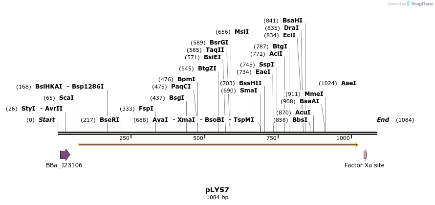 250879_map
