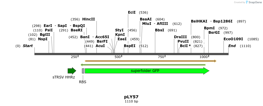 250880_map