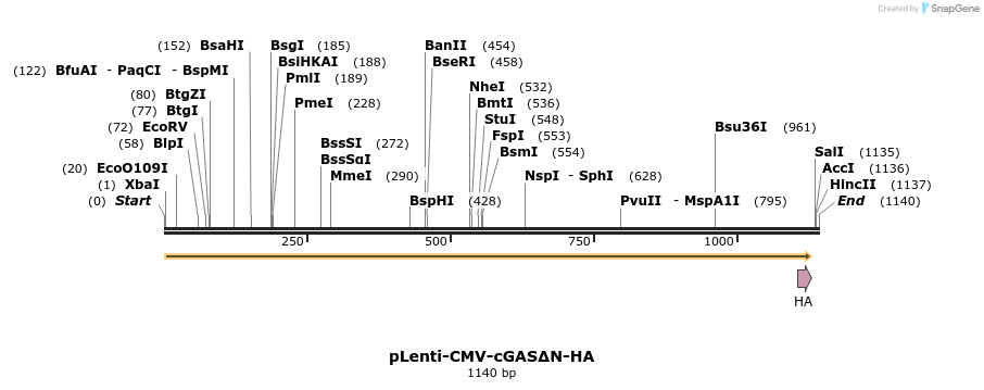 250883_map