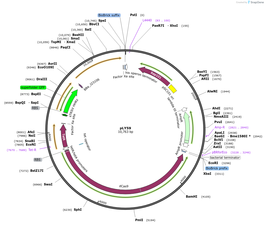 250894_map