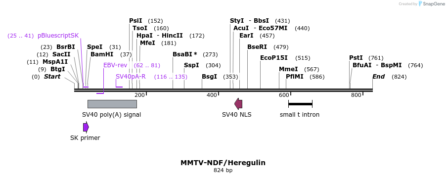25090_map