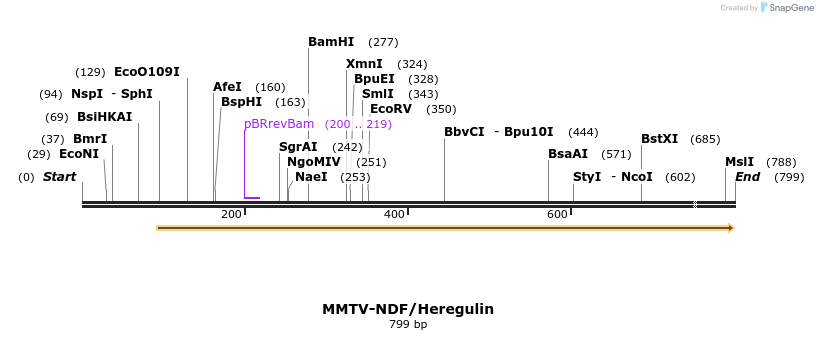 25091_map