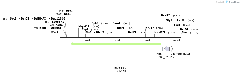 250913_map