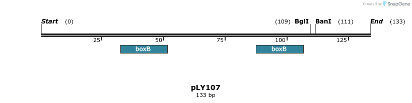 250923_map