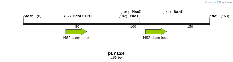 250932_map