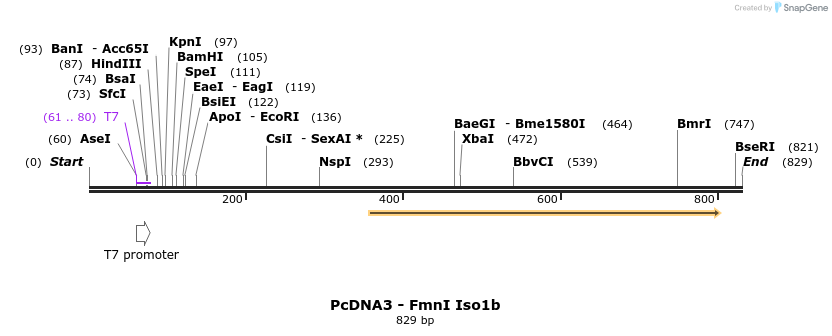 25095_map
