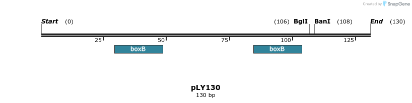 250951_map