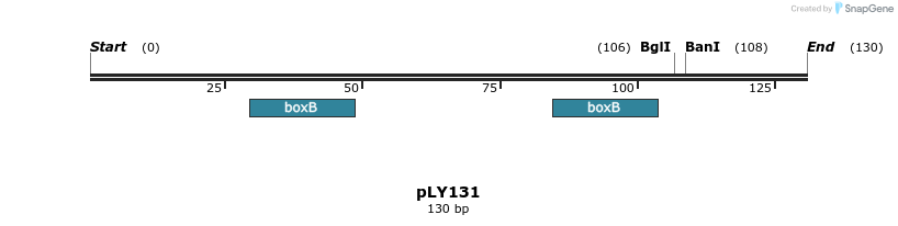 250953_map