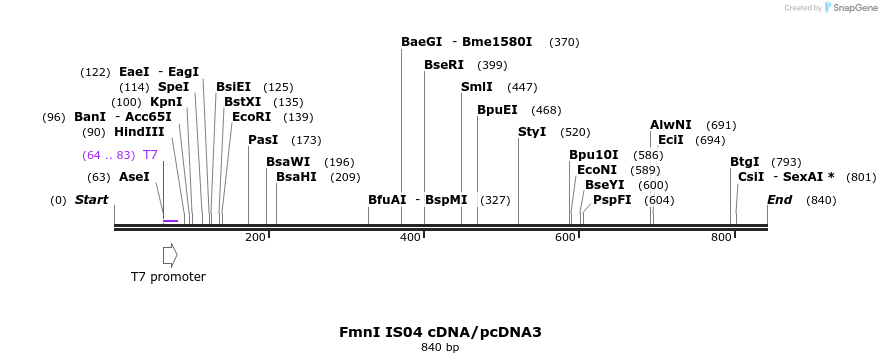 25096_map