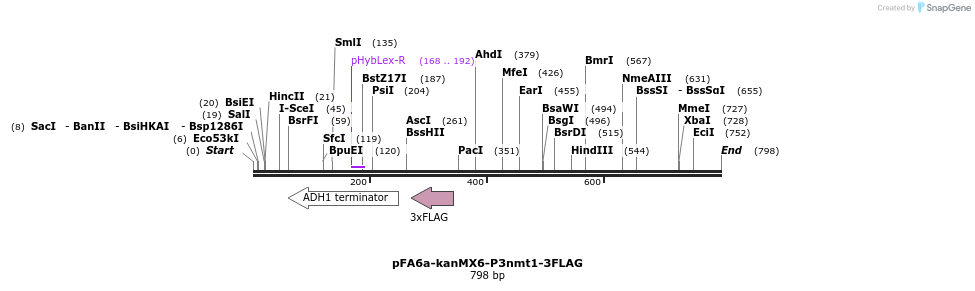 25097_map