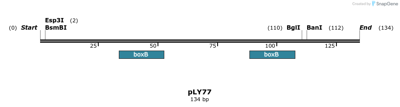 250971_map