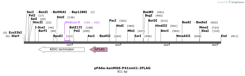 25098_map