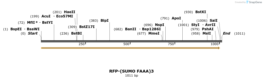 250981_map