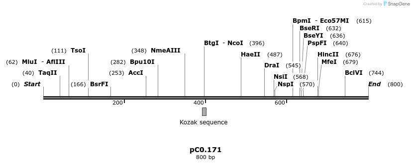 250983_map